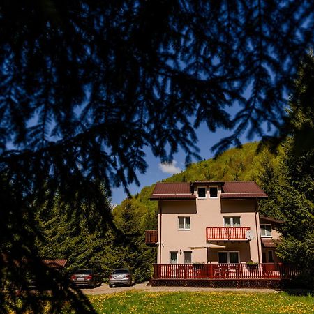 Cabana Zip Zărneşti Buitenkant foto