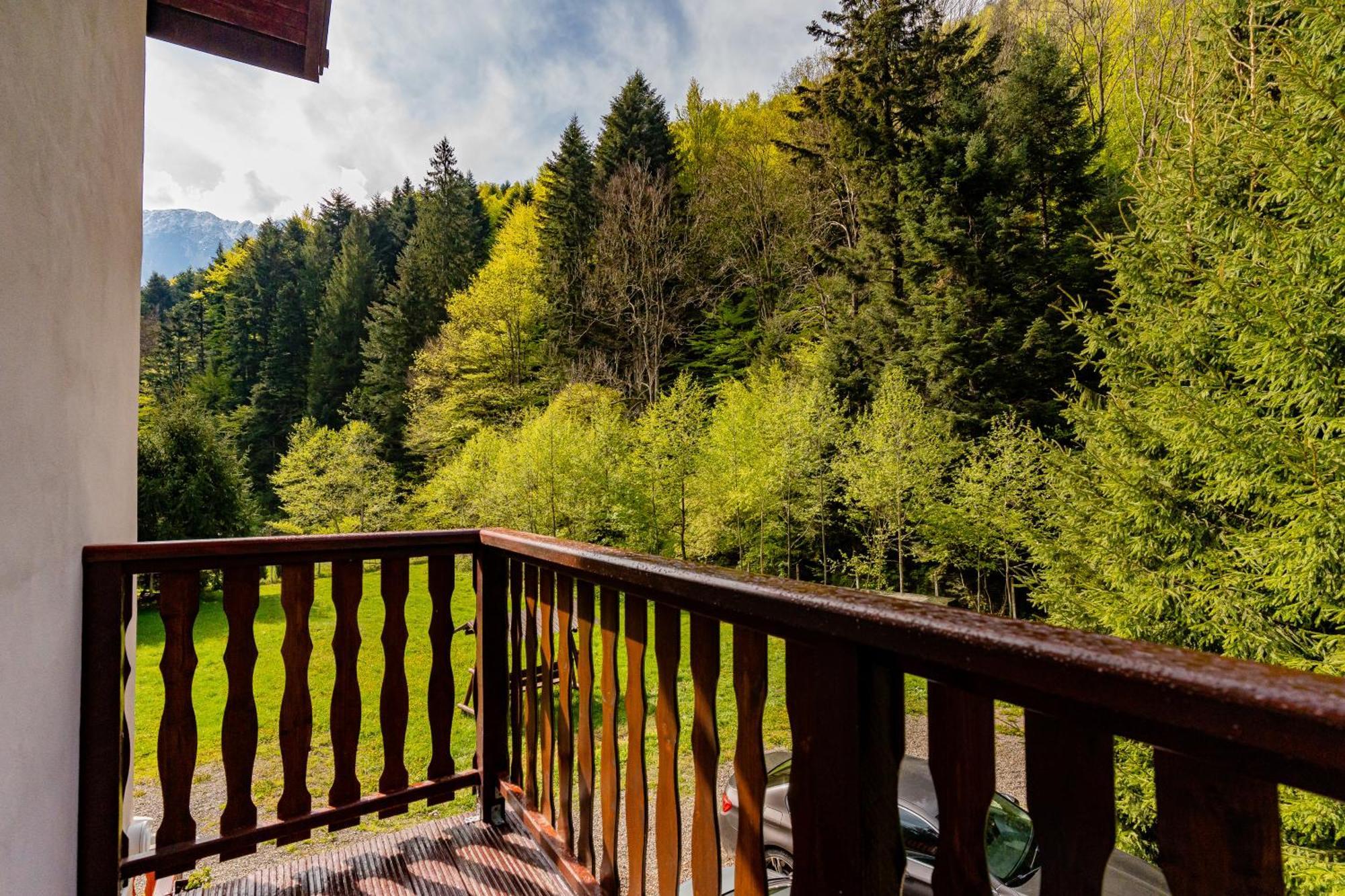 Cabana Zip Zărneşti Buitenkant foto