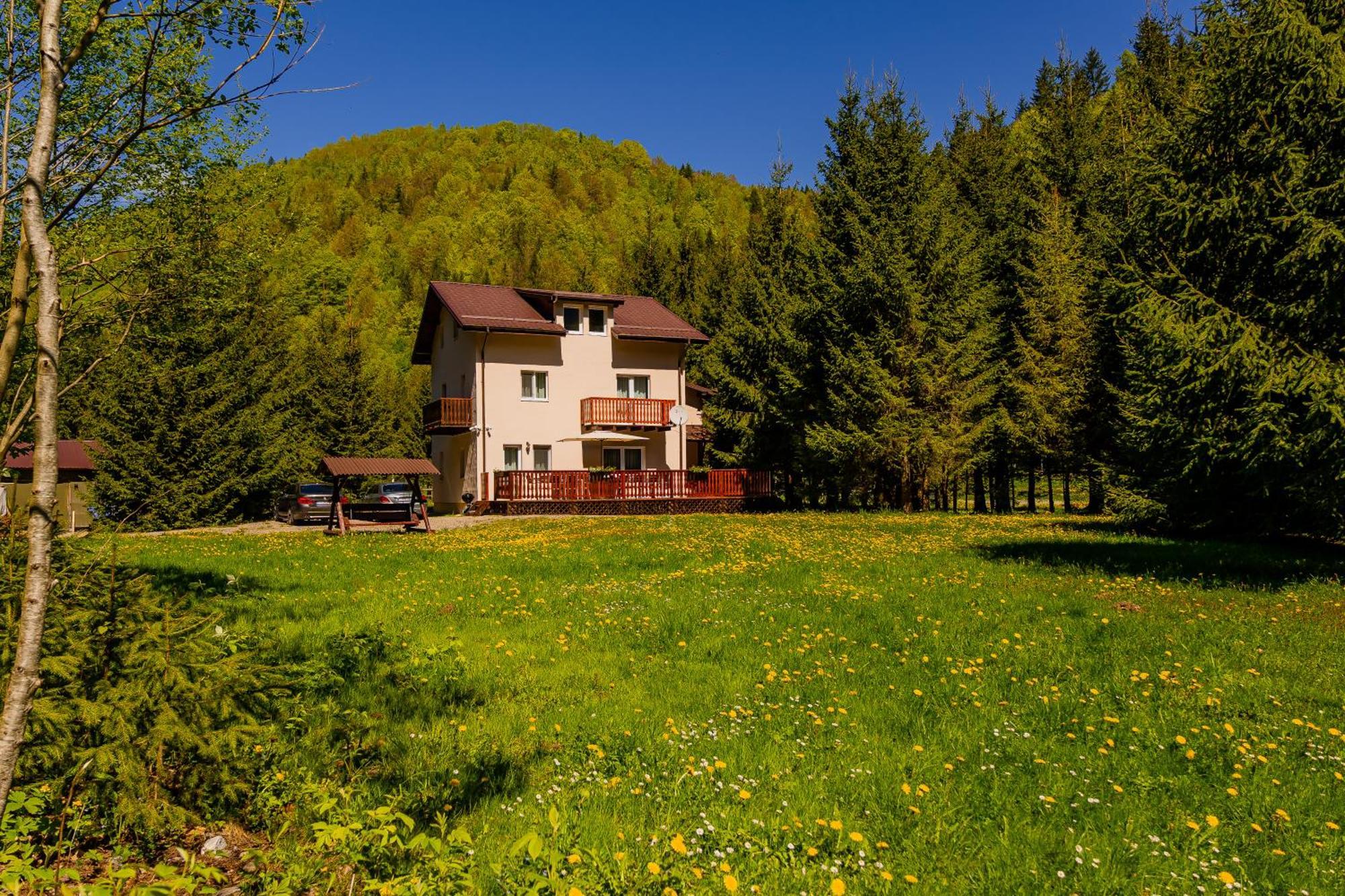 Cabana Zip Zărneşti Buitenkant foto