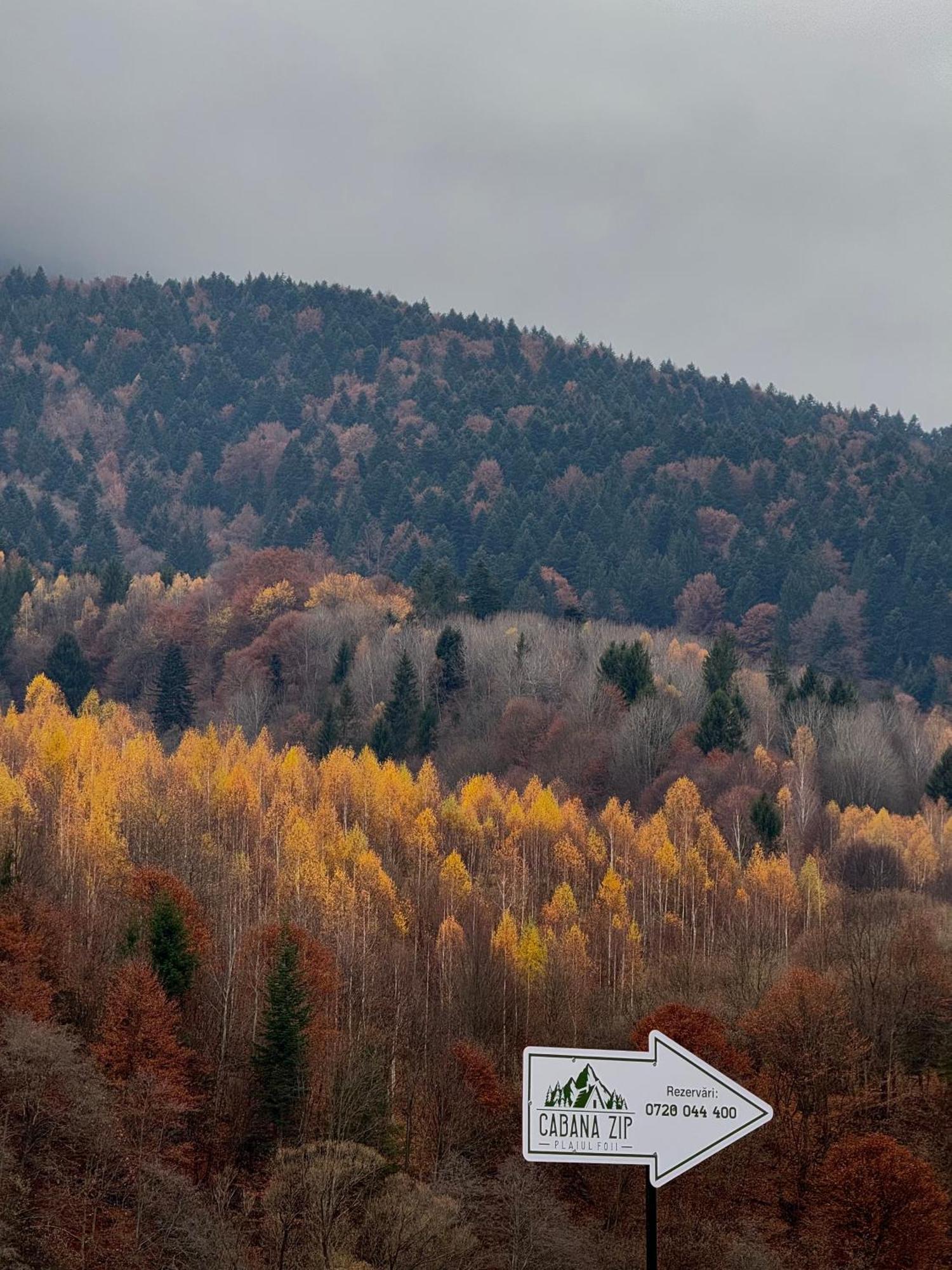 Cabana Zip Zărneşti Buitenkant foto