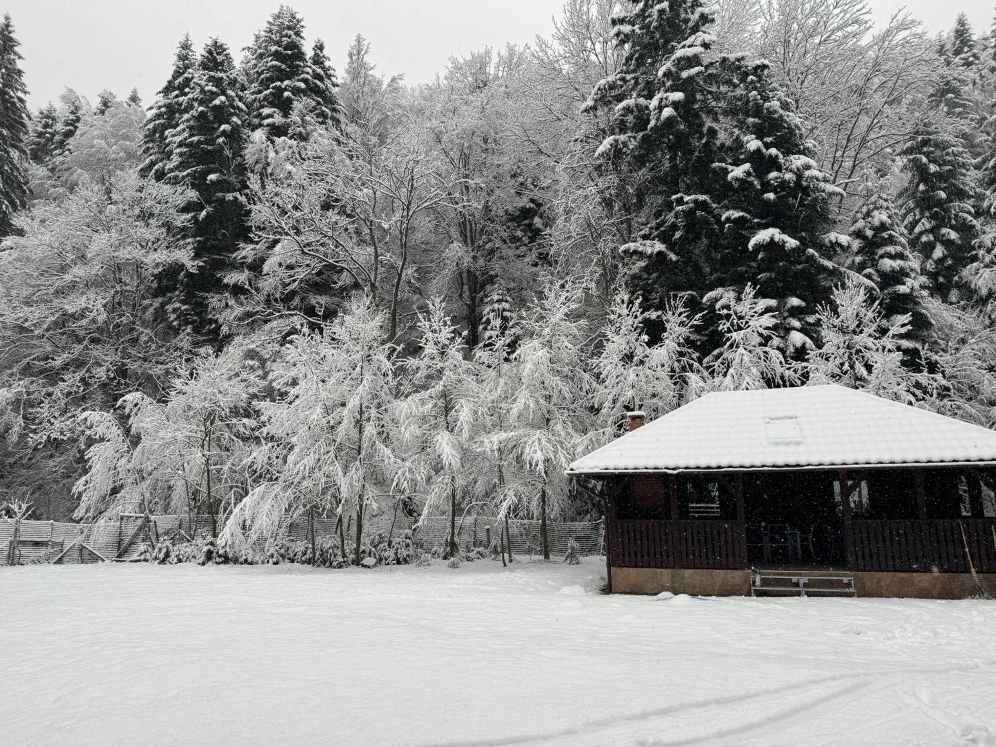 Cabana Zip Zărneşti Buitenkant foto