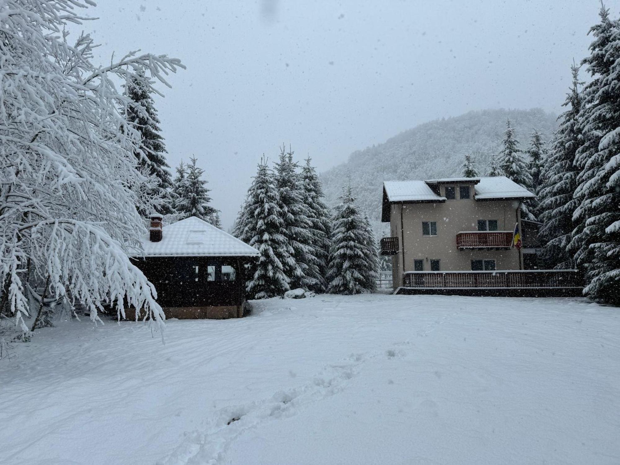 Cabana Zip Zărneşti Buitenkant foto