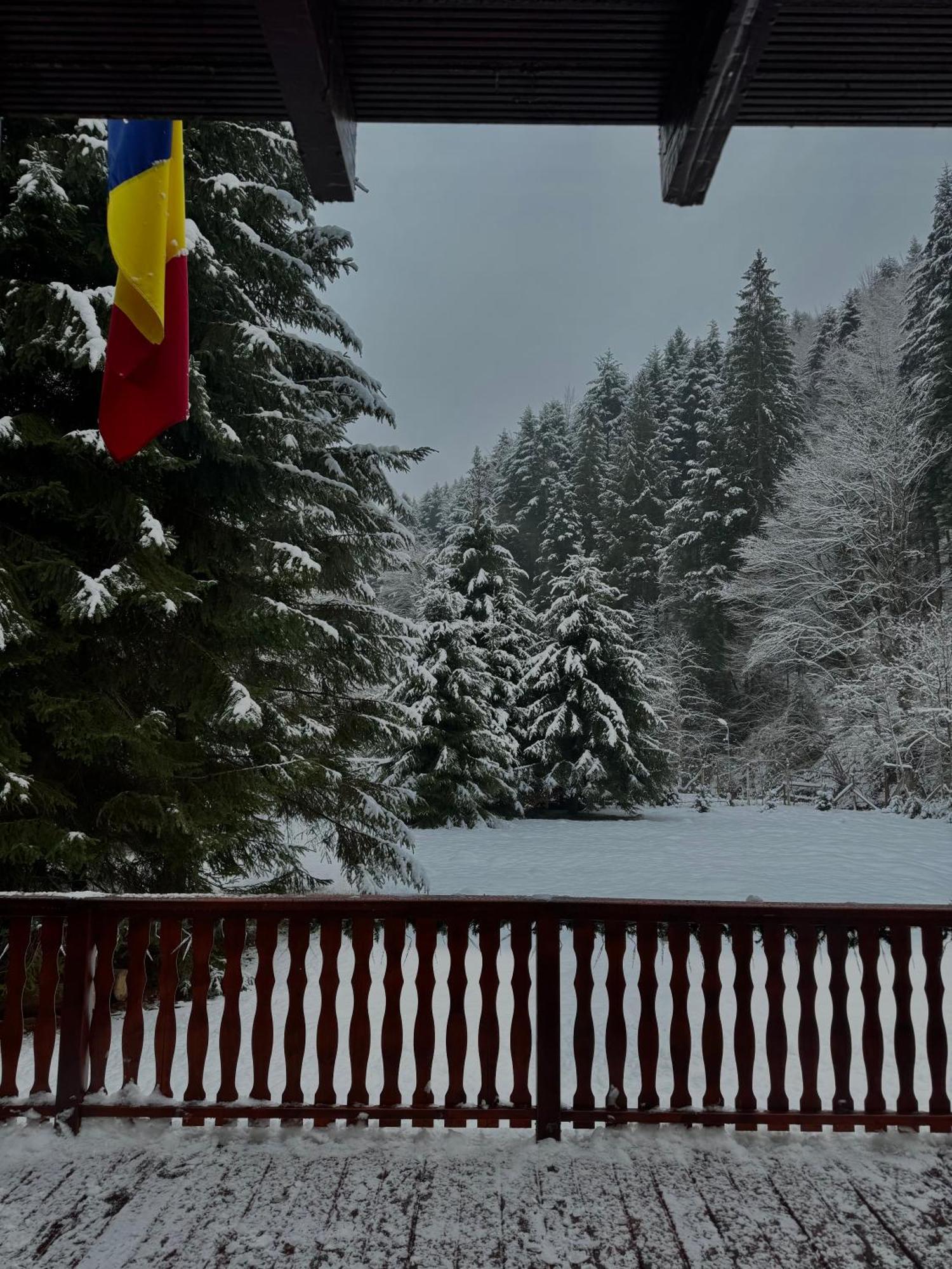 Cabana Zip Zărneşti Buitenkant foto
