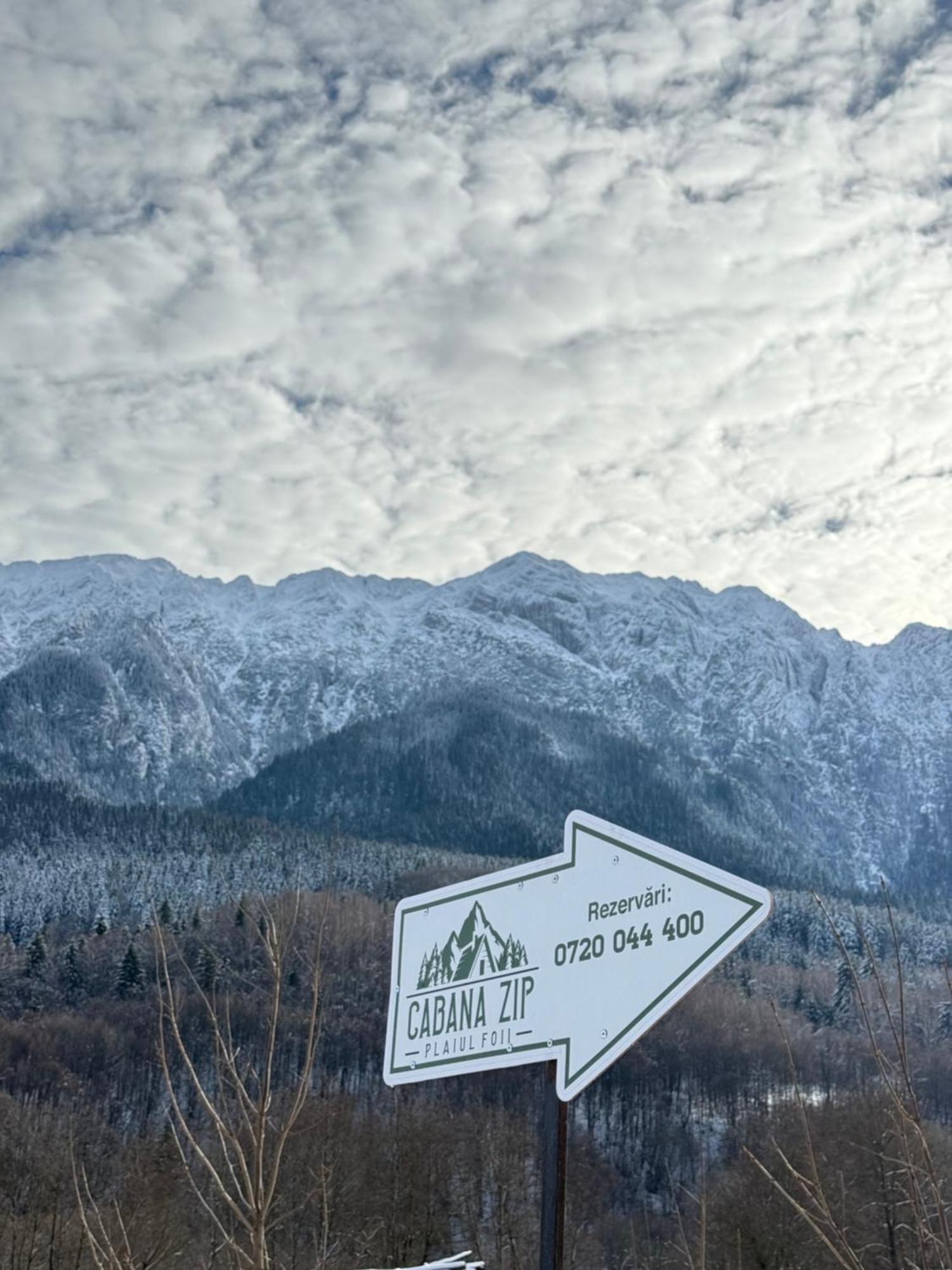 Cabana Zip Zărneşti Buitenkant foto